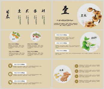 个性化中医养生方案模板设计