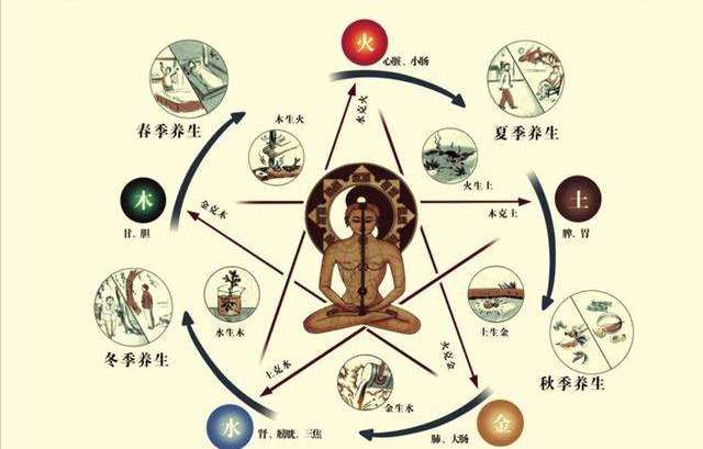 探索中医养生之道，经络养生的奥秘与实践