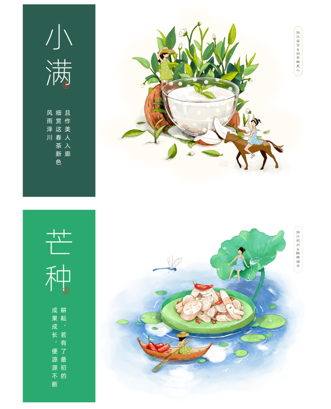 二十四节气饮食指南，顺应自然，养生之道
