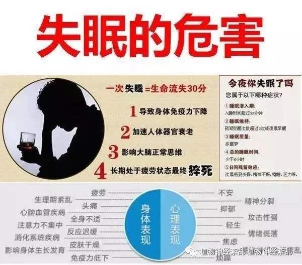 睡眠养生，全面解析中医视角下的睡眠健康  第1张