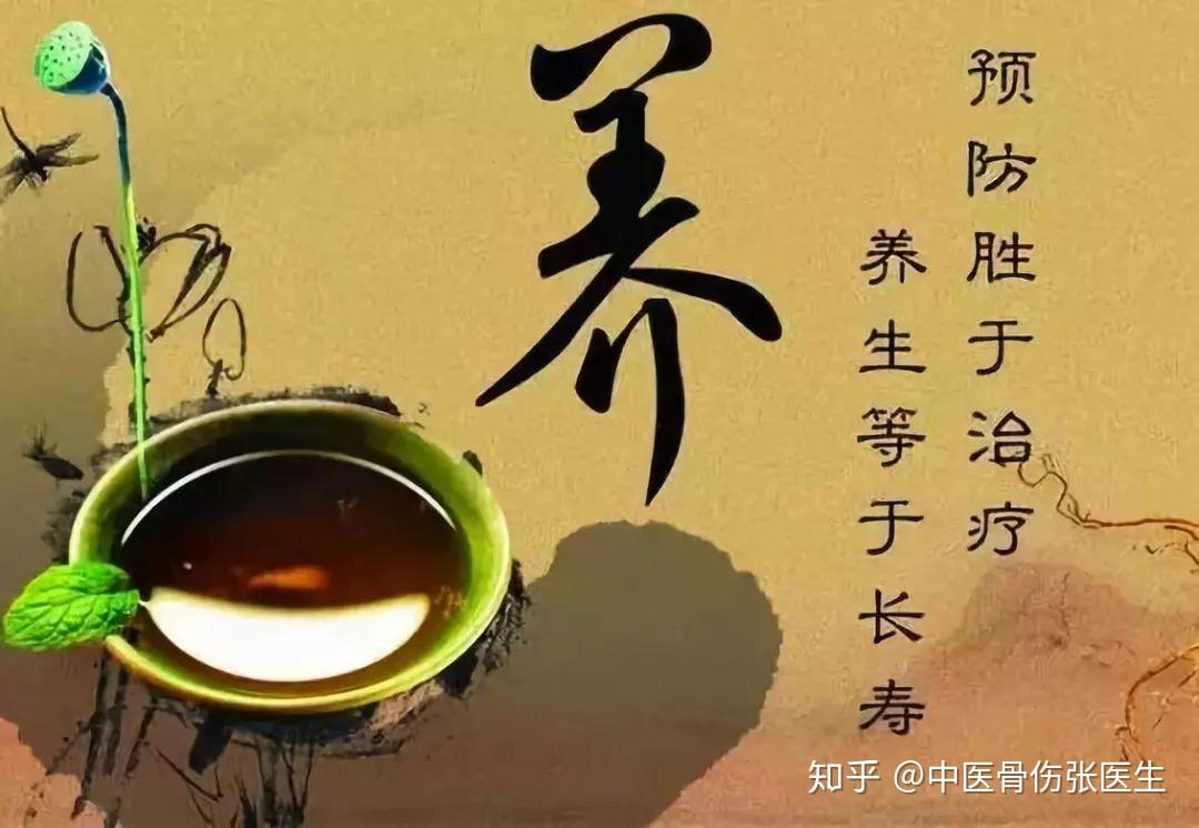 食医正道，中医养生的智慧与实践