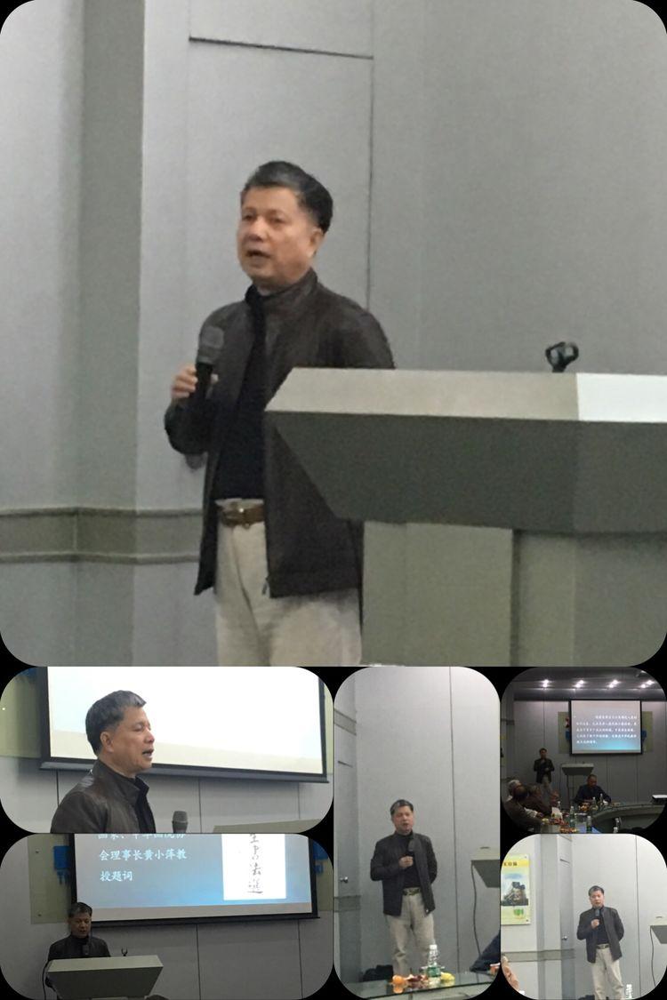 中医养生保健知识讲座，传统智慧与现代生活的完美融合