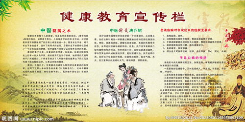 养生知识课堂总结，传统智慧与现代生活的完美结合