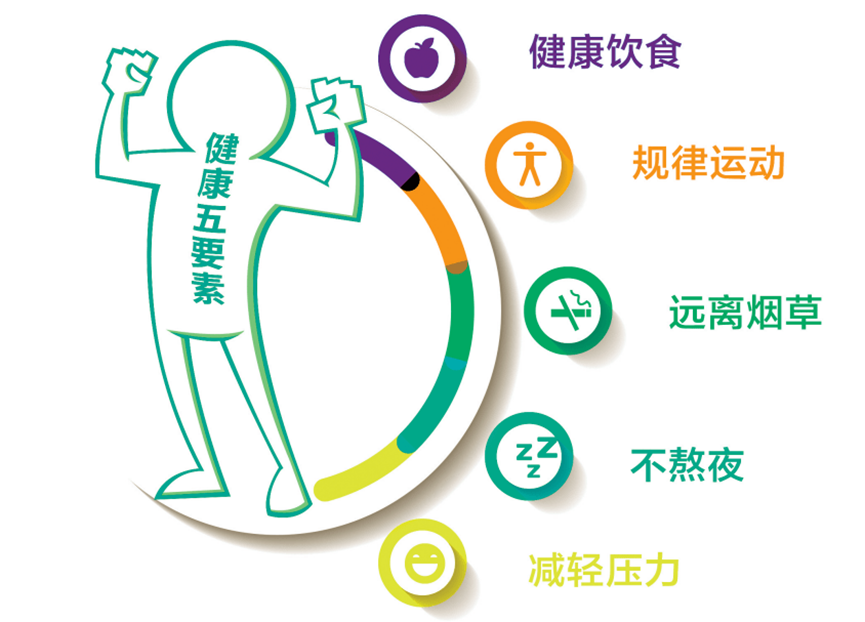 老年人养生指南，最新健康生活建议