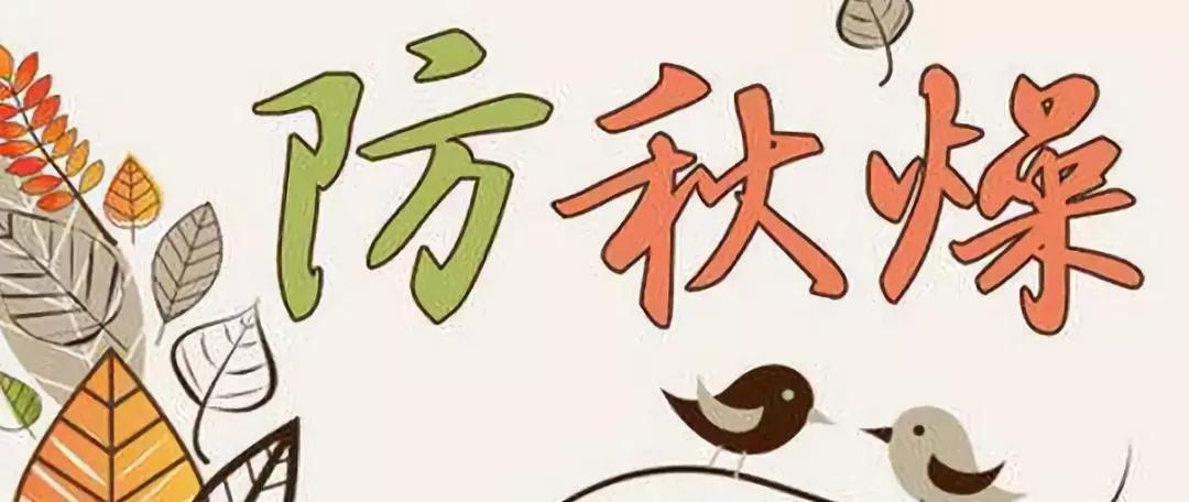 养生健康课堂行业分析，传统智慧与现代需求的融合