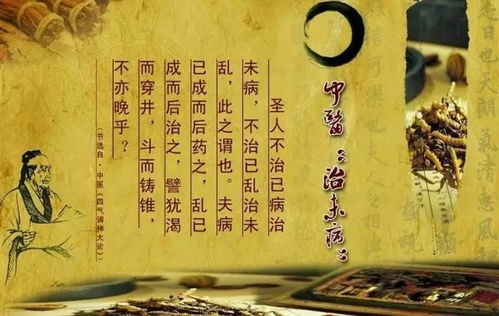 探索中医养生之道，传统智慧与现代生活的完美融合