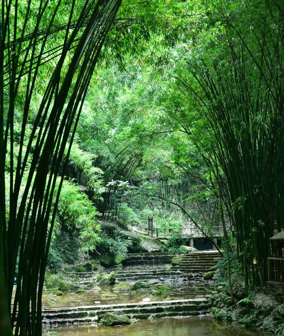 夏季养生讲座活动方案，清凉一夏，健康同行