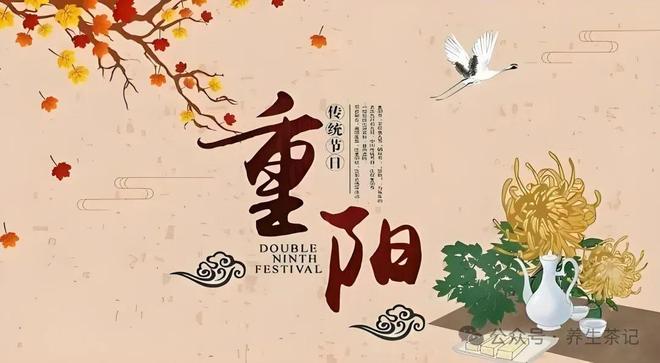中国传统养生术，智慧与健康的传承