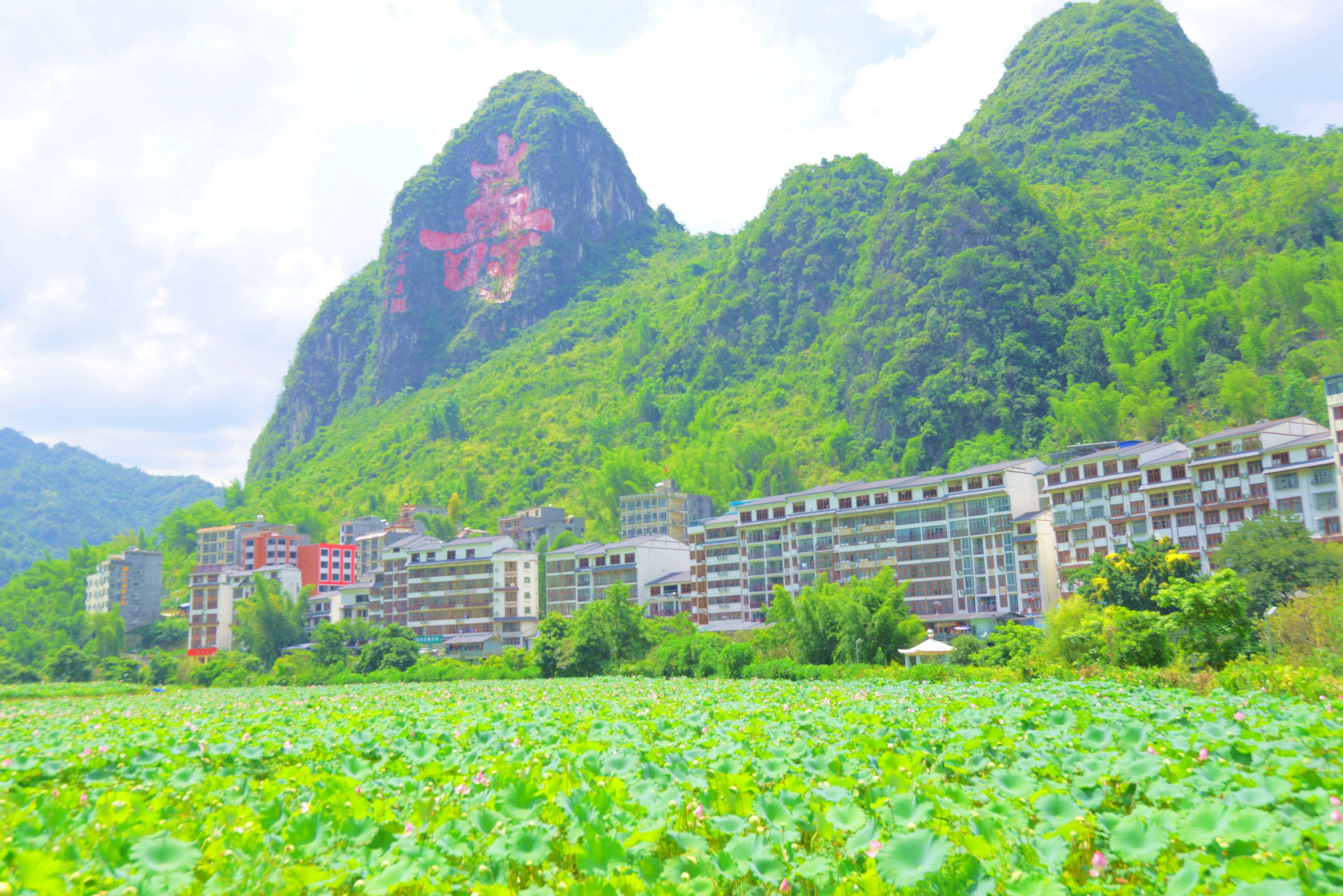 广西巴马长寿村，探索健康长寿的秘诀