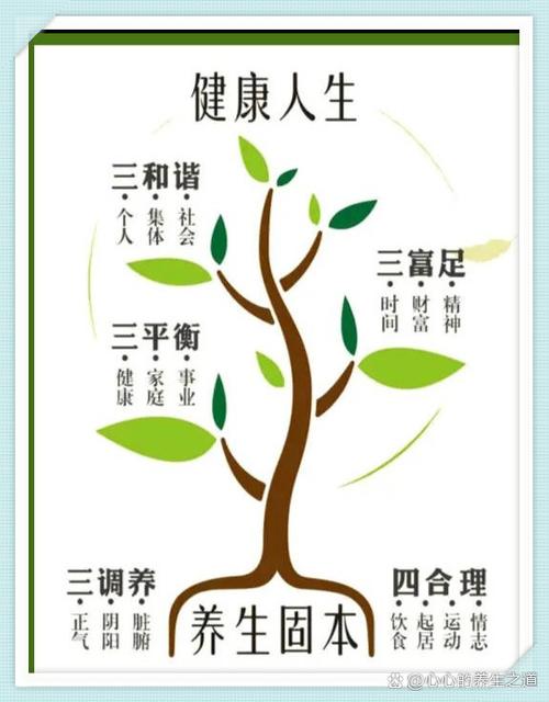 中医养生之道，平衡和谐，健康长寿