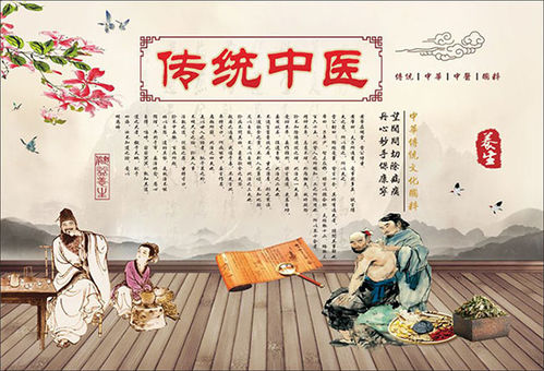 中医养生保健小常识科普视频，传统智慧与现代生活的完美结合
