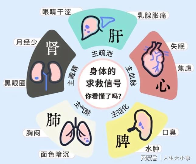 中医视角下的睡眠时间，养生之道与健康智慧
