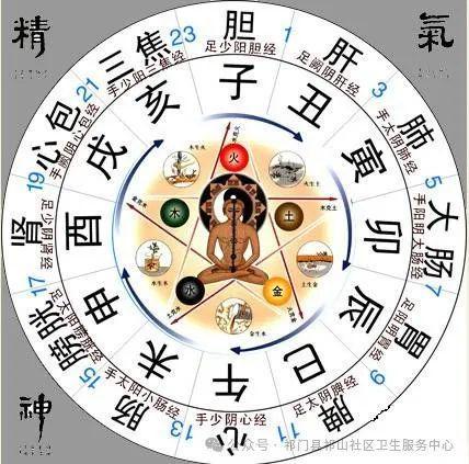 中医睡眠时间表和脏器关系，调和阴阳，养生之道