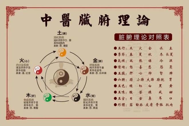 中医养生调理，健康生活的智慧之道