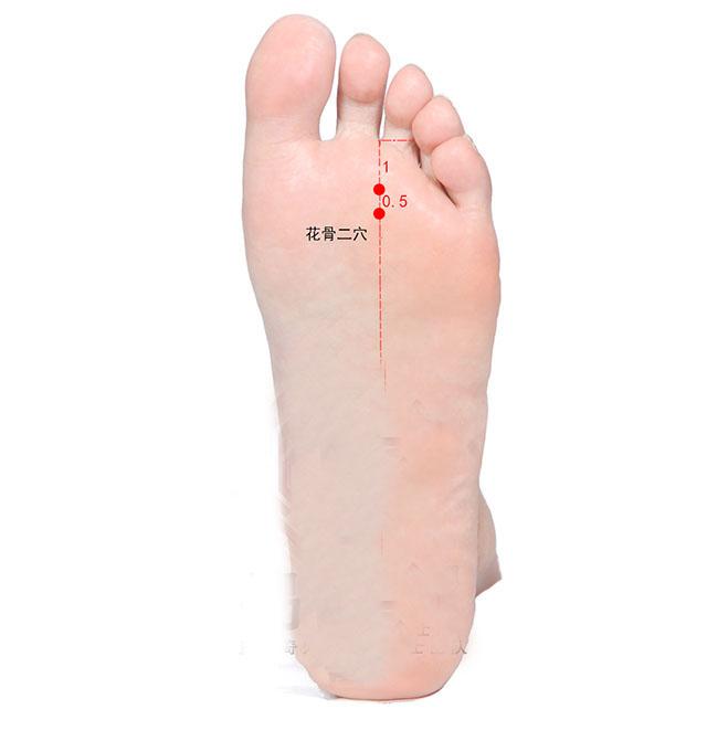 中医养生智慧，对健康养生的深刻认识与实践
