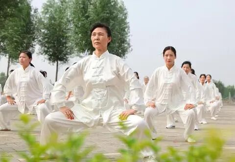 太极拳养生视频，传统智慧与现代生活的完美结合