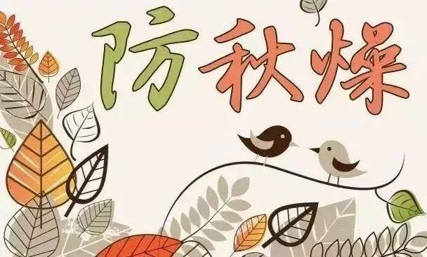 中医养生智慧，推荐的最佳睡眠时间