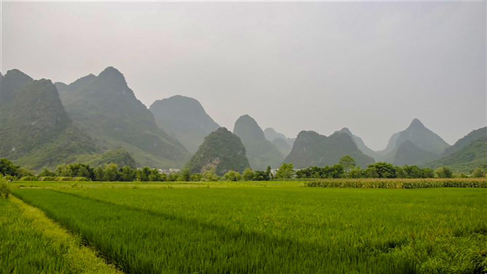巴马长寿村，探索广西河池市的长寿秘诀