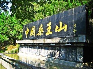 中医养生智慧，探索健康长寿的奥秘