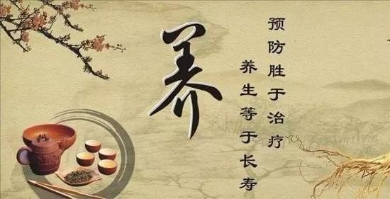 养生健康大讲堂，传统智慧与现代生活的完美融合