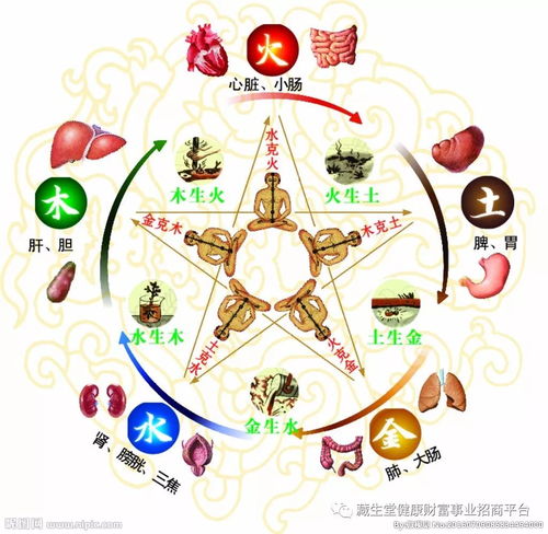 养生保健，传统中医的智慧与现代生活的融合