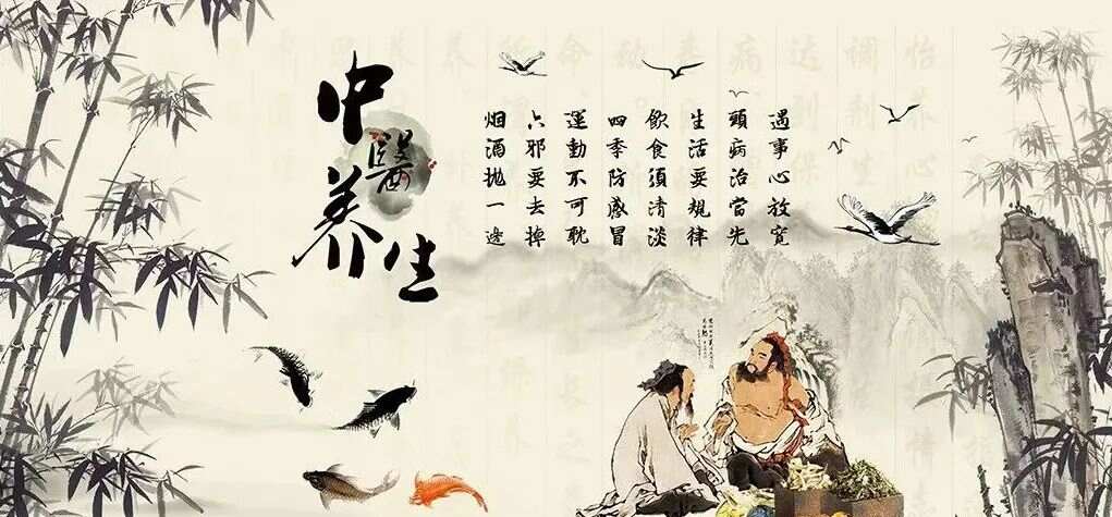 中医养生智慧，100条实用知识助你健康长寿