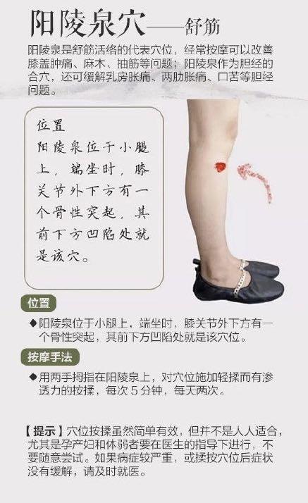中医养生智慧，健康知识讲座视频教程