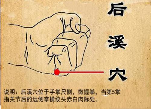中医养生智慧，健康知识讲座视频教程