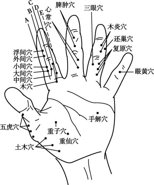 中医养生智慧，健康知识讲座视频教程
