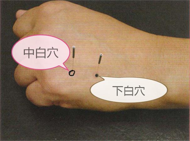 健康课程讲座，中医养生智慧与现代生活