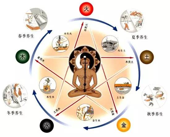 中医养生智慧，健康观念的现代解读