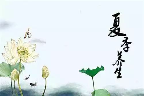 道家养生文化思想，自然和谐与生命智慧