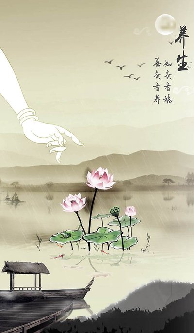 道家养生文化思想，自然和谐与生命智慧