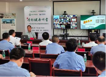 中医养生智慧，如何通过视频学习健康养生知识