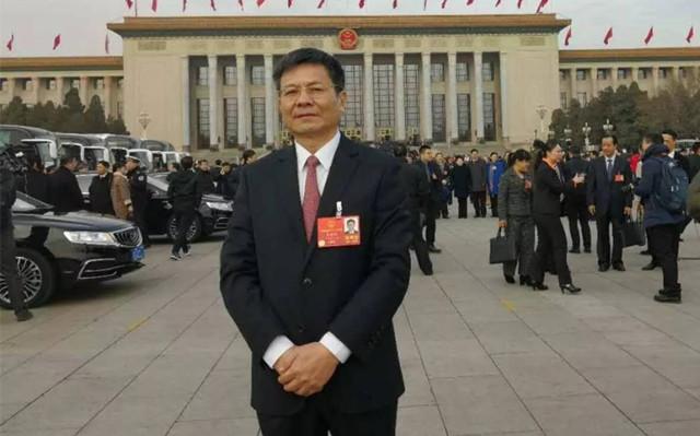 养生常用方法大全，中医智慧引领健康生活
