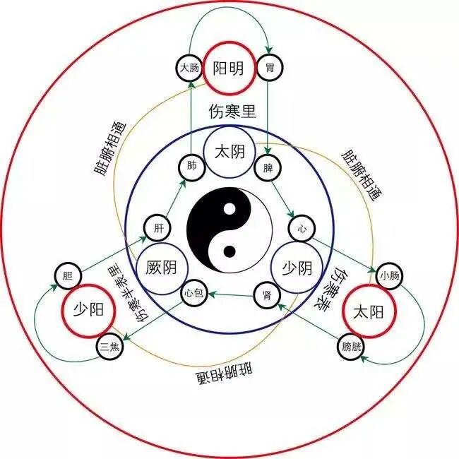 中医养生智慧，经络养生的奥秘与实践